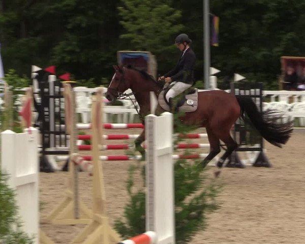 Reitturnier Ladelund 2021