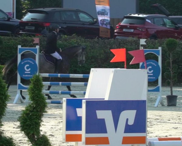 Reitturnier Vlotho-Exter 2021