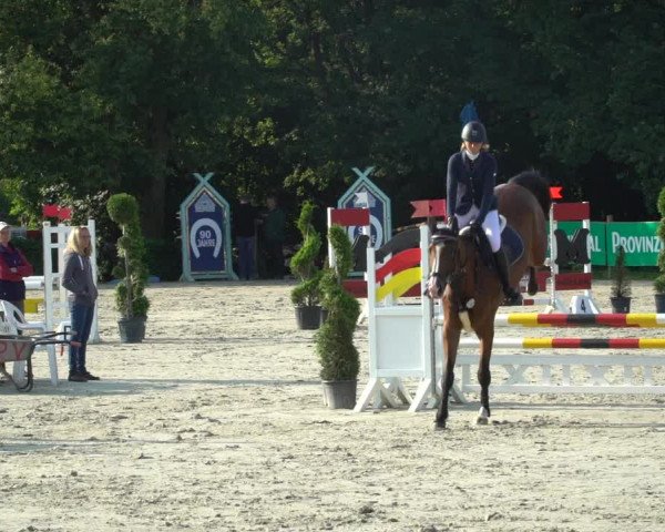 Reitturnier Vlotho-Exter 2021