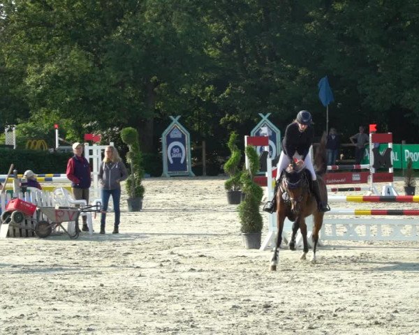 Reitturnier Vlotho-Exter 2021