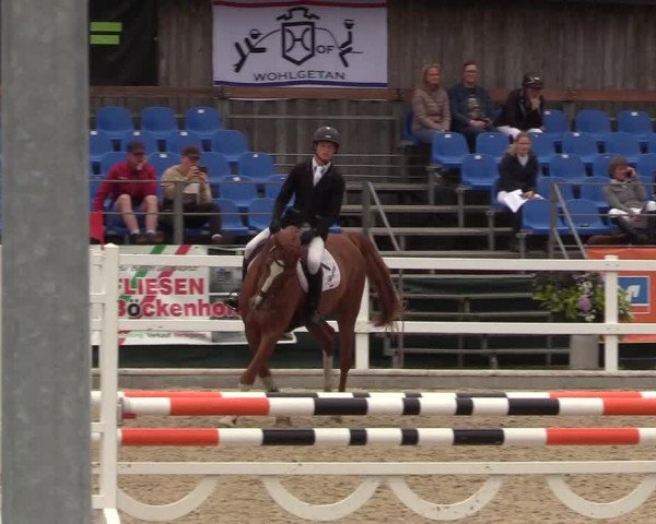Reitturnier Ladelund 2021