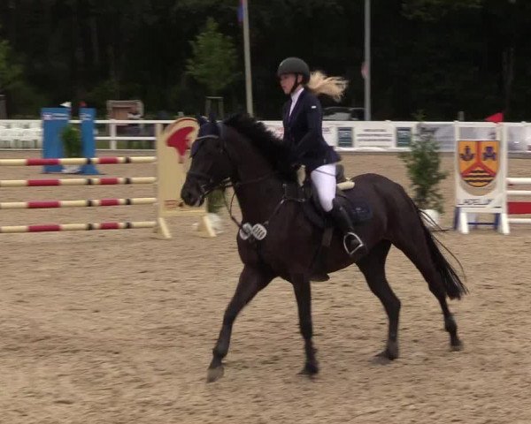 Reitturnier Ladelund 2021
