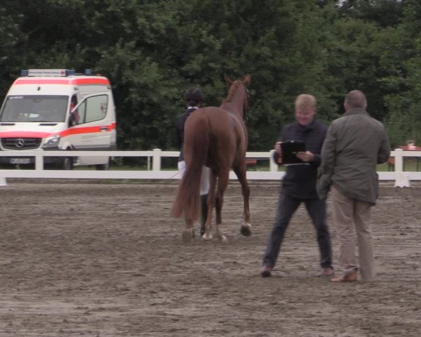 Reitturnier St. Peter Ording 2021