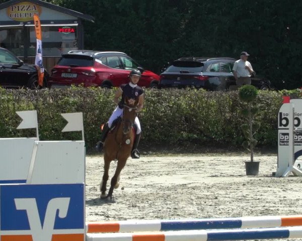 Reitturnier Vlotho-Exter 2021