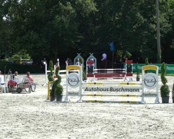 Reitturnier Vlotho-Exter 2021
