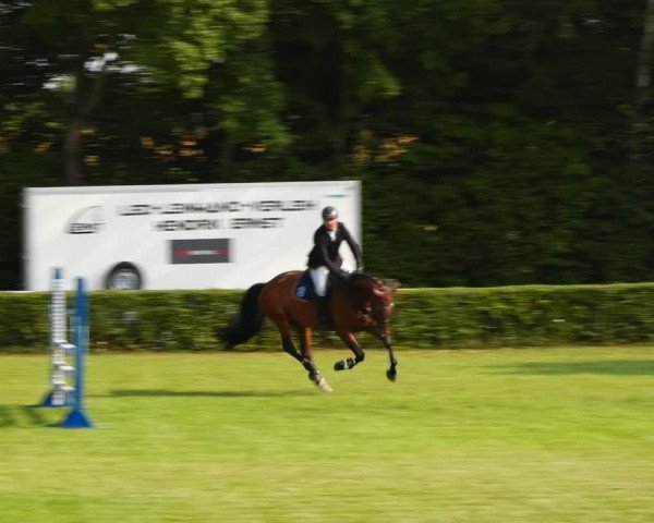 Reitturnier Westeregeln 2021