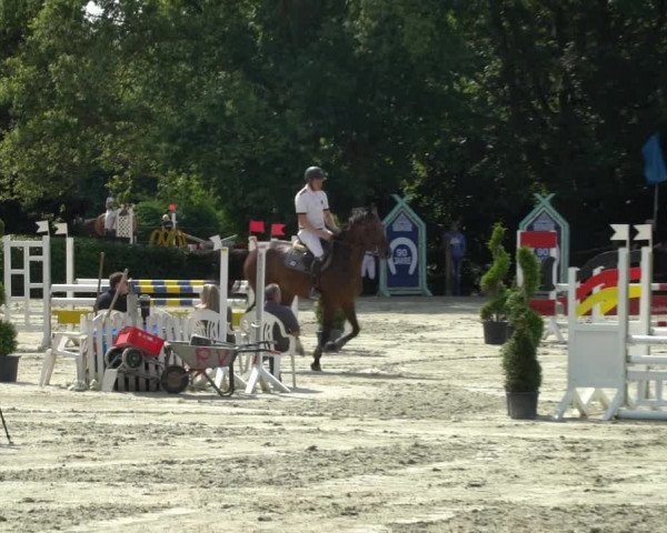 Reitturnier Vlotho-Exter 2021