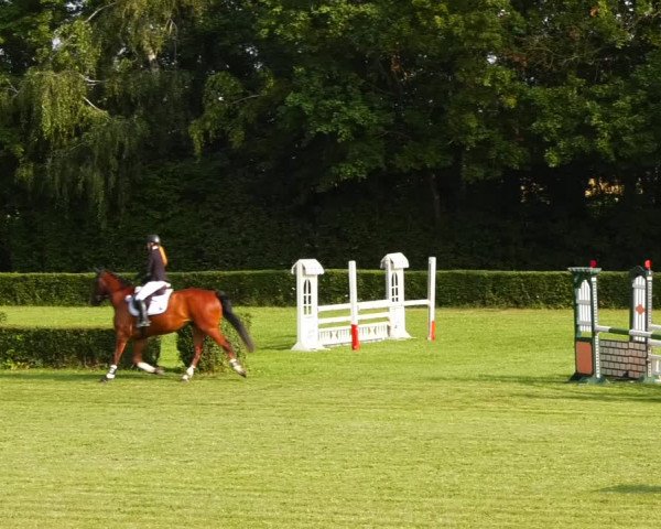 Reitturnier Westeregeln 2021
