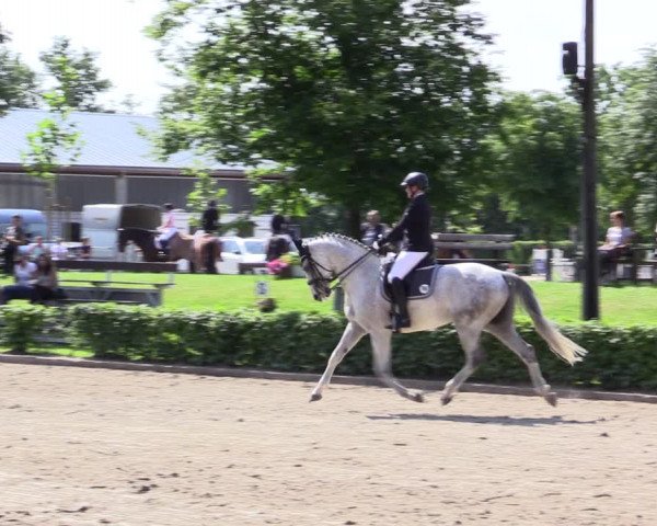 Reitturnier Olfen-Vinnum 2021