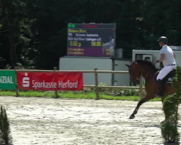 Reitturnier Vlotho-Exter 2021