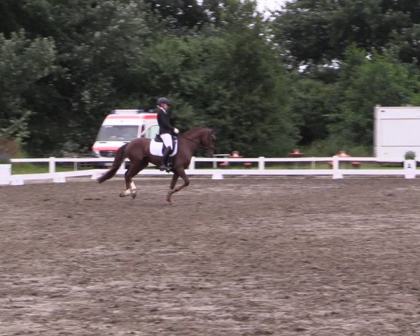 Reitturnier St. Peter Ording 2021
