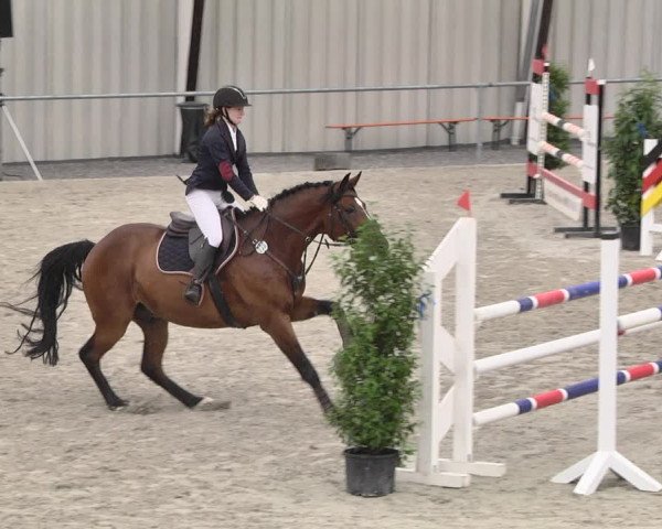 Reitturnier Ehningen 2021