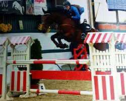 jumper Batida de Coco 50 (Polish Warmblood, 2007, from Bolero de Ravel)