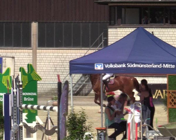 Reitturnier Olfen-Vinnum 2021
