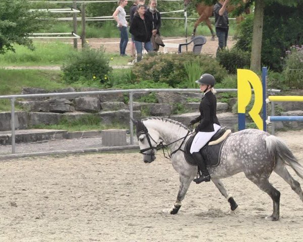 Reitturnier Ehningen 2021