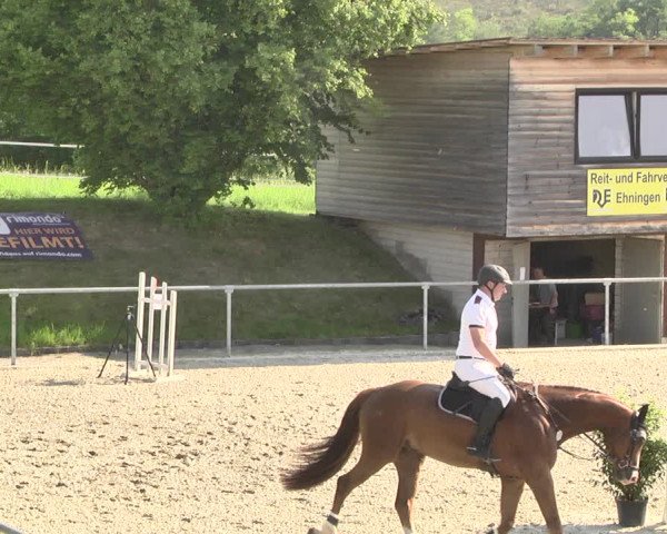 Reitturnier Ehningen 2021