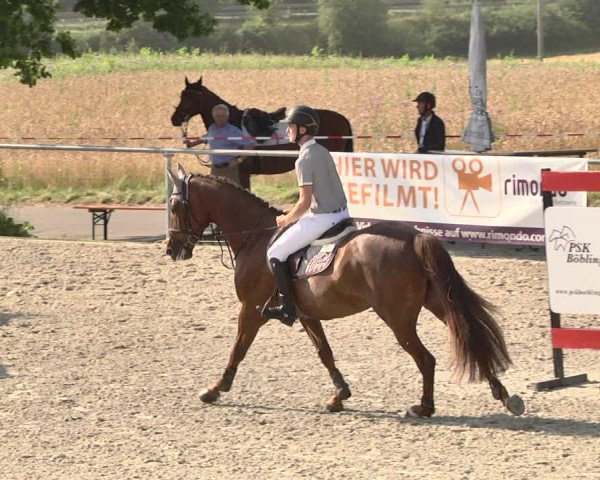Reitturnier Ehningen 2021