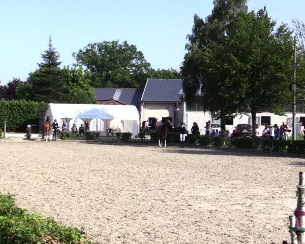 Reitturnier Olfen-Vinnum 2021