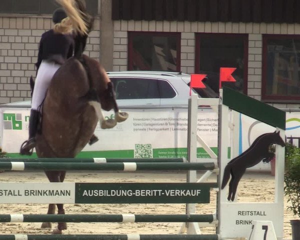 Reitturnier Olfen-Vinnum 2021