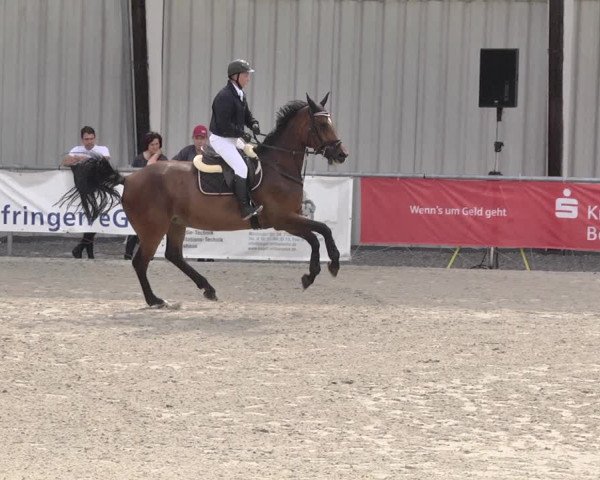 Reitturnier Ehningen 2021