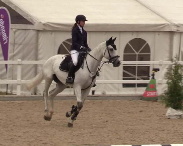 Reitturnier Ladelund 2021