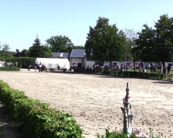 Reitturnier Olfen-Vinnum 2021