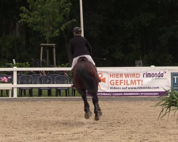 Reitturnier Ladelund 2021