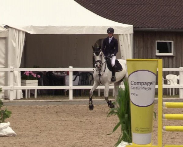 Reitturnier Ladelund 2021