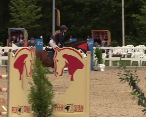 Reitturnier Ladelund 2021