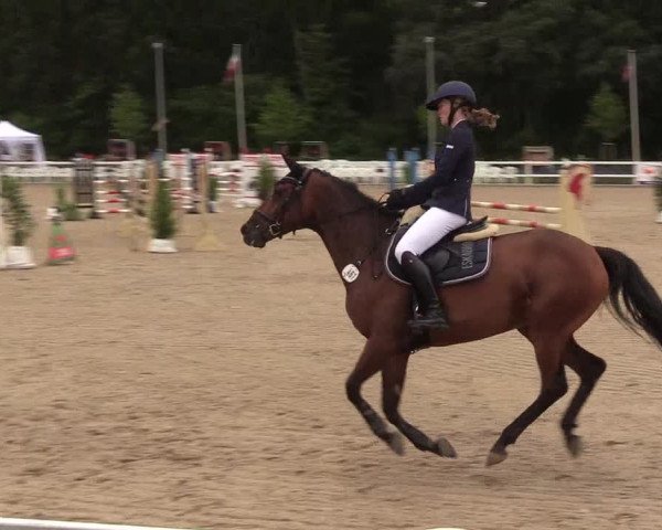 Reitturnier Ladelund 2021