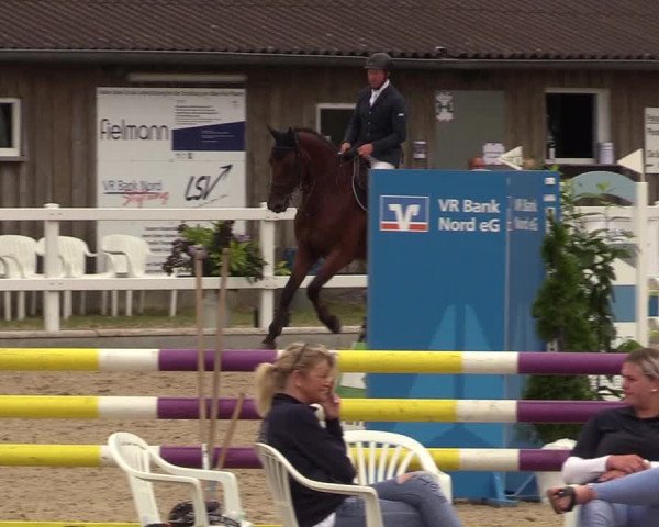 Reitturnier Ladelund 2021