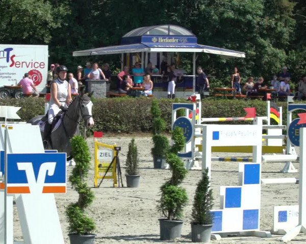 Reitturnier Vlotho-Exter 2021