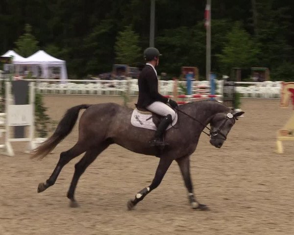 Reitturnier Ladelund 2021