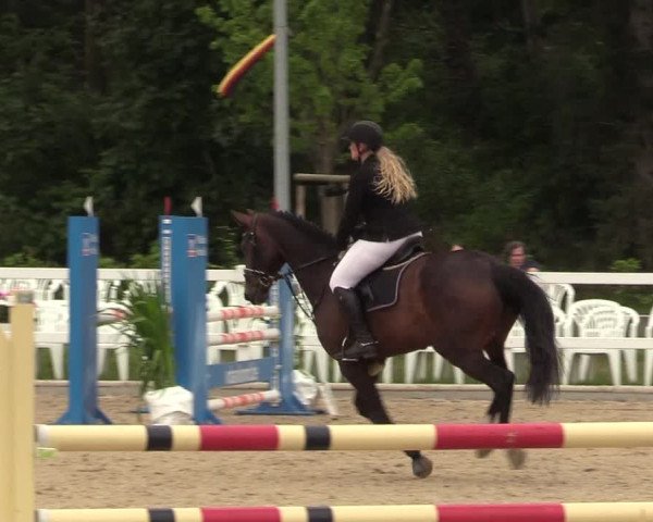 Reitturnier Ladelund 2021