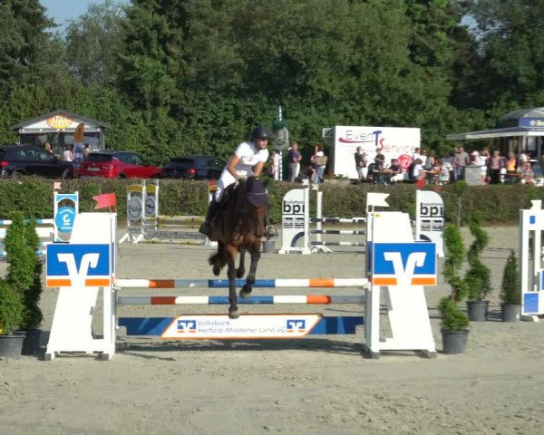 Reitturnier Vlotho-Exter 2021