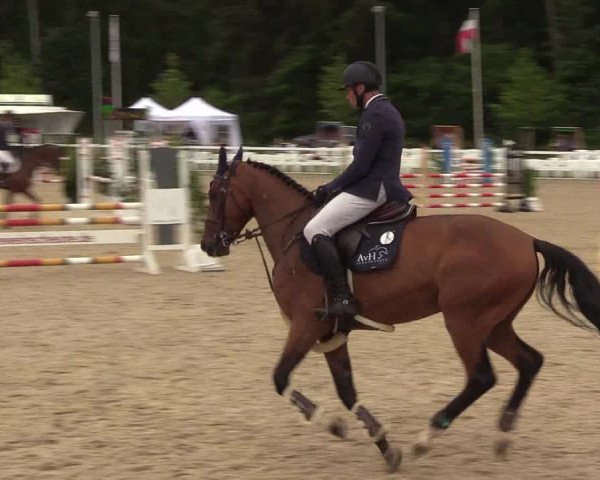 Reitturnier Ladelund 2021