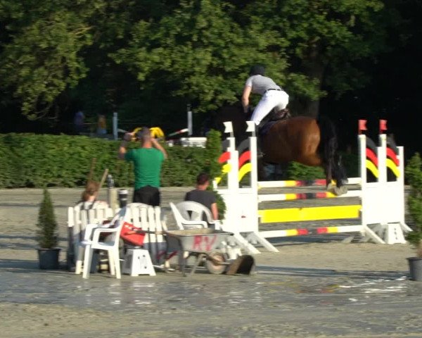 Reitturnier Vlotho-Exter 2021