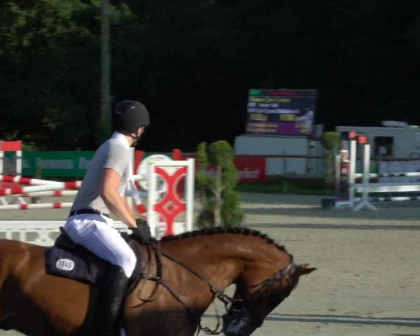 Reitturnier Vlotho-Exter 2021