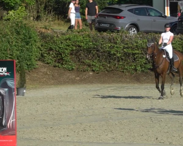 Reitturnier Vlotho-Exter 2021