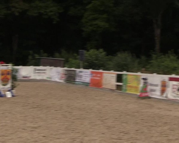 Reitturnier Ladelund 2021