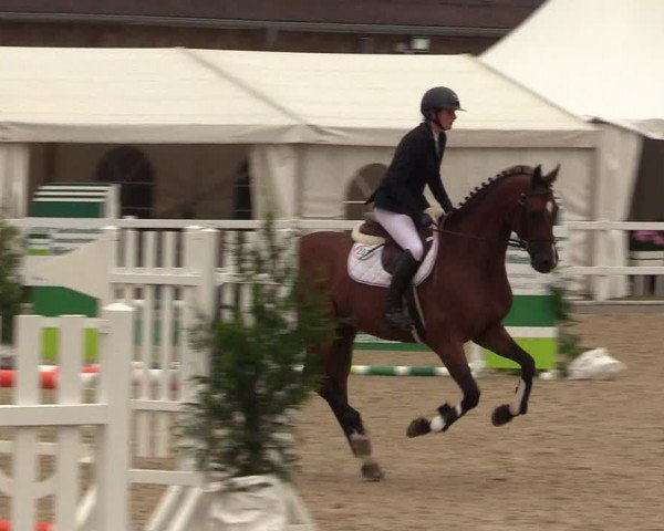 Reitturnier Ladelund 2021