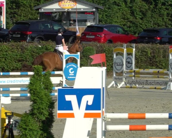 Reitturnier Vlotho-Exter 2021