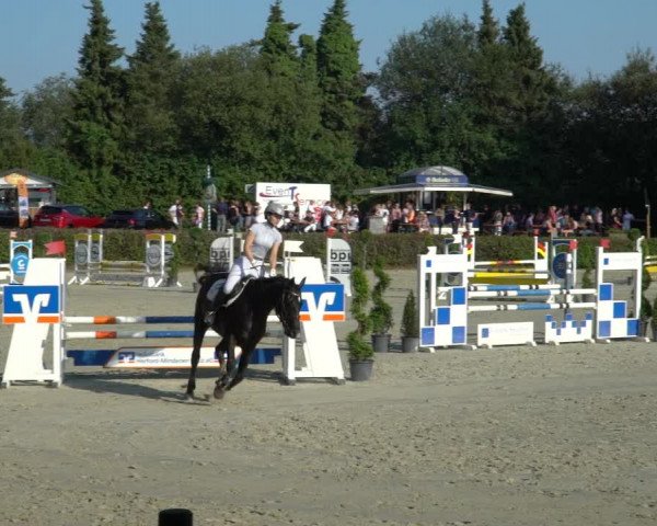 Reitturnier Vlotho-Exter 2021