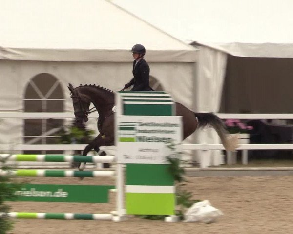 Reitturnier Ladelund 2021