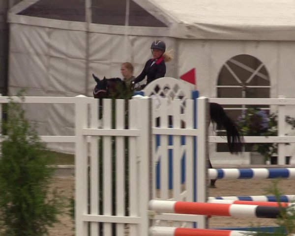 Reitturnier Ladelund 2021