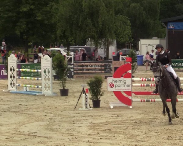 Reitturnier Olfen-Vinnum 2021