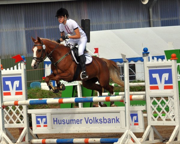 broodmare De Leila 3 (German Riding Pony, 2009, from Don Durello)