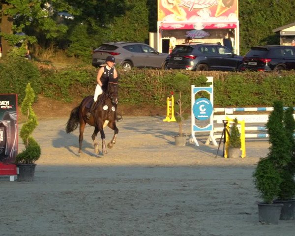 Reitturnier Vlotho-Exter 2021