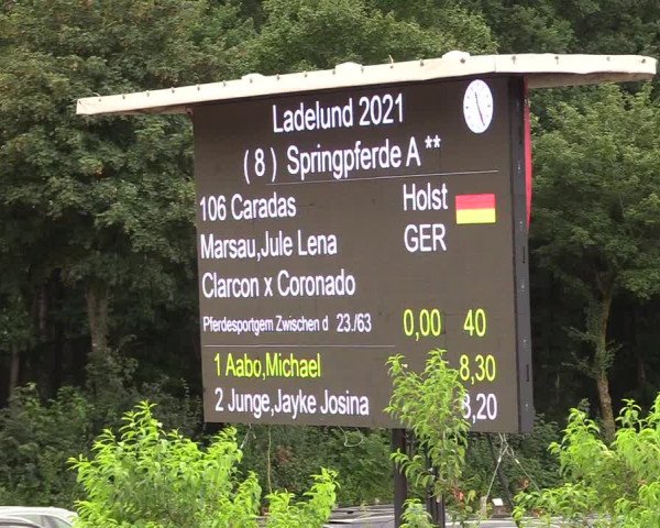 Reitturnier Ladelund 2021