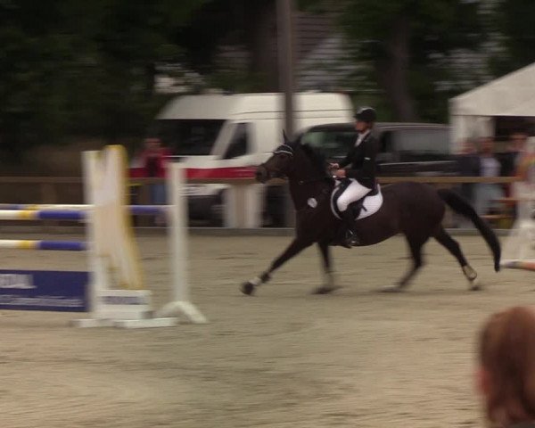 Reitturnier Kropp 2021